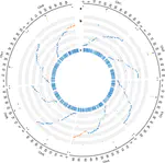Whole-genome landscape of Medicago truncatula symbiotic genes.