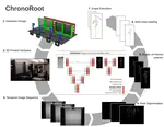 ChronoRoot: High-throughput phenotyping by deep segmentation networks reveals novel temporal parameters of plant root system architecture
