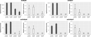 Insights into long non-coding RNA regulation of anthocyanin carrot root pigmentation