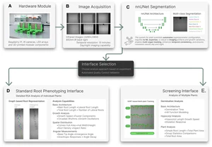 ChronoRoot 2.0: an open AI-powered platform for 2D temporal plant phenotyping